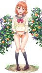  1girl absurdres ahoge ass_visible_through_thighs bangs black_legwear bottomless bow braid breasts brown_footwear collarbone commentary_request covering covering_crotch food fruit grass hair_bow highres knees leaf looking_at_viewer love_live! love_live!_sunshine!! mandarin_orange medium_hair no_panties open_mouth pigeon-toed raised_eyebrows shoes socks solo suzuki24 sweat takami_chika teeth tongue upper_teeth 