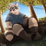  1:1 2020 anthro blue_eyes clothing detailed_background fur grey_body grey_fur hi_res hoodie male mammal outside pache_riggs procyonid raccoon sitting slightly_chubby solo topwear 