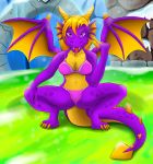  absurd_res activision blonde_eyebrows blonde_hair claws clothing colored_nails crossgender crouching dragon eyebrows female hair hi_res looking_at_viewer multicolored_body multicolored_tail multicolored_wings nails pink_bra pink_clothing pink_underwear purple_body purple_eyes purple_tail purple_wings scalie solo spyro spyro_the_dragon teeth tongue tongue_out underwear varrio10 video_games wings yellow_body yellow_claws yellow_nails yellow_tail yellow_wings 