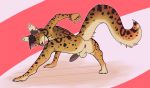  anthro anus balls butt ear_piercing felid feline fuzzikayu genitals green_eyes hi_res jewelry looking_at_viewer looking_back male mammal piercing presenting presenting_hindquarters serval simple_background solo spots tongue tongue_out 
