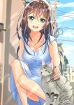  1girl :d absurdres blue_dress blue_eyes blush breasts brown_hair cat cat_day cleavage collarbone dress grey_cat highres long_hair open_mouth original outdoors power_lines sena_(illust_sena) sleeveless sleeveless_dress smile solo squatting 