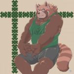  2020 ailurid anthro blush bottomwear clothing exe_exem fur humanoid_hands kemono male mammal red_body red_fur red_panda shirt shorts sitting slightly_chubby solo topwear 