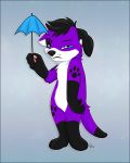  anthro black_hair canid canine canis domestic_dog elkhound floppy_ears fur grumpy hair holding_object kwik_(artist) male mammal pawalo pawprint_marking purple_body purple_fur solo spitz umbrella white_body white_fur 