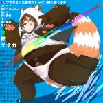  1:1 2020 ailurid anthro balls_outline belly bulge clothing genital_outline hi_res hoodie kemono male mammal navel overweight overweight_male penis_outline red_panda solo topwear underwear yuuya333 