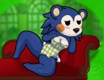  absurd_res animal_crossing anthro blue_body blue_fur blue_hair cazinkwolf clothing eulipotyphlan female fur furniture green_background green_clothing hair hedgehog hi_res looking_pleasured mabel_able mammal mostly_nude nintendo simple_background sofa solo video_games 