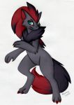  2019 ambiguous_gender anthro black_body black_fur bloominglynx canid canine cheek_tuft chest_tuft claws eyebrows facial_tuft fingers fur grey_body grey_fur hair highlights_(coloring) inner_ear_fluff mammal markings nintendo pok&eacute;mon pok&eacute;mon_(species) ponytail red_body red_claws red_fur red_inner_ear red_markings shoulder_tuft solo standing toe_claws toes tuft video_games zoroark 