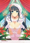  digital_version ikaruga senran_kagura senran_kagura:_new_wave tagme 