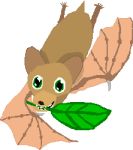  5_toes ambiguous_gender batoftheleaves brown_body brown_fur chiropteran digital_media_(artwork) feral flying fur green_eyes leaf low_res mammal membrane_(anatomy) membranous_wings object_in_mouth pixel_(artwork) simple_background smile solo thumbclaw thumbnail toes white_background wings 