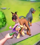  2020 balls blush canid canine canis collar conditional_dnp detailed_background digital_media_(artwork) disembodied_hand domestic_dog equid equine eyebrows female feral feral_on_feral fluttershy_(mlp) friendship_is_magic genitals grass group hasbro hi_res human leash male male/female mammal my_little_pony open_mouth outside pegasus sex sugarlesspaints text tongue tongue_out url wings 