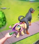  2020 balls canid canine canis collar conditional_dnp cutie_mark detailed_background digital_media_(artwork) disembodied_hand domestic_dog duo_focus equid equine eyebrows female feral feral_on_feral fluttershy_(mlp) friendship_is_magic genitals grass group hasbro hi_res human leash male male/female mammal my_little_pony open_mouth outside pegasus smile sugarlesspaints text tongue tongue_out url wings 