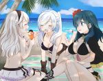  3girls beach belt bikini black_bikini black_hairband blue_eyes blue_hair blue_sky breasts brown_gloves byleth_(fire_emblem) byleth_(fire_emblem)_(female) cleavage closed_eyes cloud corrin_(fire_emblem) corrin_(fire_emblem)_(female) cup day drinking_straw feeding fire_emblem fire_emblem:_three_houses fire_emblem_awakening fire_emblem_fates fire_emblem_heroes flower glass gloves hair_flower hair_ornament hairband highres holding holding_cup holding_spoon long_hair multiple_girls o-ring o-ring_bikini open_mouth outdoors palm_tree pointy_ears puni_y_y robin_(fire_emblem) robin_(fire_emblem)_(female) sitting sky spoon swimsuit tree twintails water white_hair wreath 