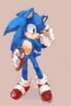  2020 anthro bag biped blue_body blue_fur clothing eulipotyphlan footwear fur gloves gold_ring green_eyes handwear hedgehog hi_res holding_bag holding_object kaniboshi358 male mammal shoes simple_background smile solo sonic_the_hedgehog sonic_the_hedgehog_(film) sonic_the_hedgehog_(series) standing tan_background tan_body tan_fur 