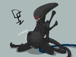  &lt;3 2016 4:3 alien alien_(franchise) alien_humanoid anthro balls belly belly_expansion belly_inflation big_belly black_balls black_body blush dark_skin de-flator digital_media_(artwork) english_text erection expansion eyeless genitals grey_penis hi_res hose humanoid inflation kneeling looking_down looking_pleasured male nude penis rubbing_belly rumbling_stomach shadow signature simple_background smile solo text tongue tongue_out traditional_media_(artwork) water_inflation watermark xenomorph 