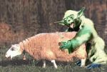  sheep star_wars tagme yoda 