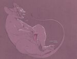 andromorph anthro big_clitoris blushing_yokai clitoral clitoral_masturbation clitoris eyes_closed featureless_chest genitals huge_clitoris hyper hyper_clitoris hyper_genitalia intersex mammal masturbation mouse murid murine nonbinary_(lore) nude_andromorph nude_anthro pink_background rodent simple_background sitting slightly_chubby slightly_chubby_anthro solo thick_thighs
