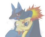  lucario pokemon tagme typhlosion 