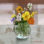  artist_name commentary english_commentary flower no_humans original plant plant_focus solanoko still_life vase white_flower yellow_flower 