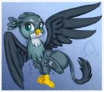  avian beak blue_eyes chest_tuft eyelashes feather_tuft feathers female feral friendship_is_magic gabby_(mlp) grey_body grey_feathers gryphon hair head_markings low_res markings my_little_pony mythological_avian mythology pawpads ponytail solo tuft white_body white_feathers white_markings 