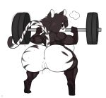  anthro anus barbell big_breasts big_butt breasts butt crouching exercise felid female genitals hair hair_over_eye huge_butt looking_back mammal muscular muscular_female one_eye_obstructed pantherine pussy raised_tail rear_view red_eyes simple_background tiger weightlifting white_background workout zetaskully 