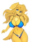  anthro big_breasts bikini blonde_hair blue_eyes breasts canid canine canis chest_tuft clothing crotch_tuft domestic_dog female fur hair hi_res long_hair looking_at_viewer mammal seductive_eyes simple_background slugbox small_tail solo standing swimwear tuft white_background yellow_body yellow_fur 
