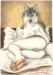  anthro anus bed breasts canid canine canis feet female fur furniture genitals hi_res looking_at_viewer lying mammal on_side presenting presenting_pussy pussy solo syntech white_body white_fur wolf 
