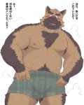  2020 4:5 anthro belly blush brown_body brown_fur bulge canid canine canis clothing domestic_dog fur hi_res humanoid_hands japanese_text kemono male mammal moobs nipples overweight overweight_male simple_background solo take_tsugu_roh text underwear white_background 