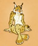  anthro blush embarrassed feet felid feline lynx male mammal nicnak044 paws pinup pinup_pose pose shy solo 