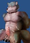  abs absurd_res anthro artjackal biceps blue_body blue_fur bodily_fluids brand_new_animal canid canine canis collar cum cum_on_penis fur genital_fluids genitals hi_res looking_at_viewer male mammal muscular nude penis shirou_ogami simple_background sitting solo studio_trigger wolf 