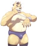  2020 4:5 anthro belly blush bulge canid canine canis clothing domestic_dog eyes_closed hi_res humanoid_hands male mammal moobs nipples overweight overweight_male simple_background solo take_tsugu_roh underwear white_background wrestler 