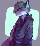  2020 anthro black_nose blue_eyes blush canid clothing hair half-length_portrait hoodie looking_at_viewer male mammal portrait simple_background smile snout solo sony-shock topwear 