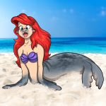  1:1 absurd_res alternate_species animal_humanoid ariel_(disney) beach blacksheeptfs blue_eyes breasts day disney female hair hi_res humanoid long_hair mammal marine merfolk open_mouth outside photo_background pinniped red_hair sand seal seaside shell_bra solo surprise the_little_mermaid tongue tongue_out transformation water 