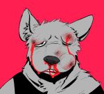  3000vnd anthro beaten blood bodily_fluids bruised canid canine clothing eyebrows hair headshot_portrait male mammal nosebleed portrait simple_background solo topwear wounded 