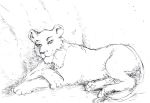  absurd_res brismy disney felid female feral hi_res lion mammal monochrome pantherine sketch solo the_lion_king zira 