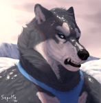  absurd_res anthro backlighting biped blue_eyes canid canine canis domestic_dog fur harness hi_res husky light lighting looking_at_viewer male mammal nordic_sled_dog portrait sepulte signature sky snarling snow solo spitz teeth 