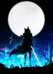  animal_ears blurry blurry_background commentary_request fox_ears fox_girl fox_tail full_moon fur-trimmed_jacket fur_trim harada_miyuki highres hololive jacket long_hair looking_up moon night night_sky shirakami_fubuki silhouette sky star_(sky) starry_sky tail virtual_youtuber 