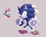  2020 ambiguous_gender anthro biped blue_body blue_fur chip_(sonic) claws clothing duo eulipotyphlan fist flying footwear frown fur grey_background hi_res male mammal open_mouth open_smile red_body red_fur shoes simple_background smallpanda smile sonic_the_hedgehog_(series) sonic_the_werehog sonic_unleashed standing were wereeulipotyphlan werehog white_body white_fur wings 
