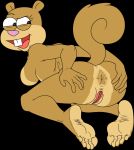  anthro anus barefoot big_breasts black_background breasts brown_body brown_fur buckteeth butt female fur genitals hand_on_butt hi_res holding_butt kneeling looking_back mammal narrowed_eyes nickelodeon open_mouth presenting presenting_hindquarters pussy rodent sandy_cheeks sciurid simple_background smile solo spongebob_squarepants spread_butt spreading teeth the_urge_within thick_thighs tongue tree_squirrel wide_hips 