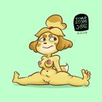  &lt;3_marking 1:1 2019 animal_crossing anthro big_breasts breasts canid canine canis domestic_dog female flexible fur genitals green_background hair hi_res isabelle_(animal_crossing) mammal nintendo nipples nude pussy shih_tzu simple_background sitting smile solo splits spread_legs spreading thick_thighs tombstonejoe toy_dog video_games wide_hips yellow_body yellow_fur 