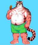  2020 absurd_res anthro belly blue_background bottomwear clothing eyewear felid food glasses hi_res male mammal moobs navel nipples nu_nudo_do overweight overweight_anthro overweight_male pantherine shorts simple_background solo tiger tongue tongue_out 