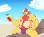  beach beard belly body_hair bowser bowser_day bulge clothing facial_hair hi_res horn koopa male mario_bros musclegut muscular muscular_male nintendo nipples reptile scalie seaside solo speedo straddling strawberry_saal swimwear video_games 