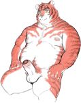  2019 anthro balls belly erection felid genitals hi_res male mammal moobs navel nipples nu_nudo_do overweight overweight_anthro overweight_male pantherine penis simple_background solo tiger white_background 