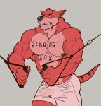  2017 abs absurd_res anthro barazoku bicep_curl biceps big_biceps big_muscles bodily_fluids body_writing bottomwear bulge canid canine clothed clothing dasyuromorph deltoids erection erection_under_clothing exercise fur grey_background hi_res male mammal marsupial muscular muscular_anthro muscular_male nightterror nipples obliques pecs red_body red_fur shorts simple_background solo sweat thylacine tight_clothing topless topless_male vein veiny_muscles workout 