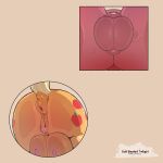 animal_genitalia animal_vulva anus applejack_(mlp) artist_name balls big_macintosh_(mlp) big_teats bodily_fluids butt clitoris cold-blooded-twilight cutie_mark dock_(anatomy) duo earth_pony english_text equid equine equine_anus equine_genitalia equine_vulva faceless_character faceless_female faceless_male female feral friendship_is_magic genitals hasbro hi_res horse male mammal my_little_pony nipples orange_body pony red_body sheath sweat tail teats text vulva yellow_tail