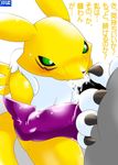  digimon renamon tagme 