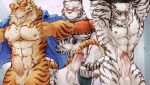 anthro arknights blush breasts clothing erection felid grimoire_of_zero group hi_res hypergryph jewelry lin_hu male male/male mammal mercenary_(grimoire_of_zero) mountain_(arknights) necklace nekojishi nodis_node pantherine standing studio_klondike studio_montagne tiger trio undressing