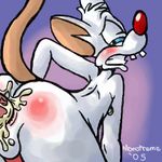  anal anal_penetration animaniacs balls blush brainsister cum cum_in_ass cum_inside gay male mammal mouse penetration penis pinky pinky_and_the_brain rodent sex 