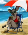 2025 almond_(dutch) anthro beach beach_chair beach_umbrella beverage big_breasts bikini bottomwear breasts clothing cloud cocktail_garnish cocktail_umbrella coconut coconut_drink digital_media_(artwork) drinking drinking_straw drupe_(fruit) eyewear female food fruit hi_res huge_breasts mammal mouse murid murine parasol plant rodent sand seaside siamese_mouse sitting sky solo sunglasses swimwear the-b-meister topwear two-piece_swimsuit water