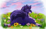 animal_genitalia animal_vulva anus blue_anus blue_claws blue_eyes blue_nose blue_pawpads blue_vulva canid canine canine_genitalia canine_vulva claws female feral fur genitals hi_res mammal muskydusky pawpads purple_body purple_fur purple_tail solo tail tail_anus whiskers