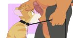 5_fingers age_difference anthro ball_lick balls belly big_belly black_body black_fur brown_body brown_fur canid canine canis chuck_(p_rindustries) collar daddy_kink dobermann domestic_cat domestic_dog dominant erection felid feline felis fingers fur genitals hand_on_head hi_res kneeling kneeling_oral_position leash leash_pull licking looking_at_genitalia looking_at_penis male male/male mammal mature_male nude oral p_rindustries penis pink_nose pinscher sex simple_background size_difference slightly_chubby standing striped_body striped_fur stripes submissive tail tan_body tan_fur tongue whisker_spots white_body white_fur will_(p_rindustries)