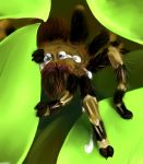  2020 ambiguous_gender arachnid arthropod black_body bodily_fluids brown_body crying danji-isthmus digital_media_(artwork) feral hi_res leaf looking_at_viewer multicolored_body mygalomorph solo spider tarantula tears two_tone_body 